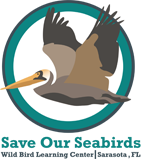 Save Our Seabirds
